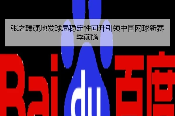 张之臻硬地发球局稳定性回升引领中国网球新赛季前瞻